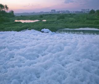 an image of a lake in bangalore with white foam on top that looks like snow, in the distance you can see a grassy field and the tops of buildings