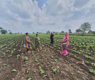 Thousands of women farmers in the Marathwada and Vidarbha regions battle the vagaries of nature and life with grit and determination
