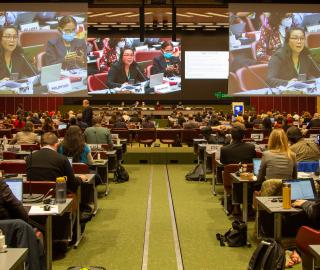 Delegates meeting in a conference hall at the United Nations to negotiate biodiversity issues.