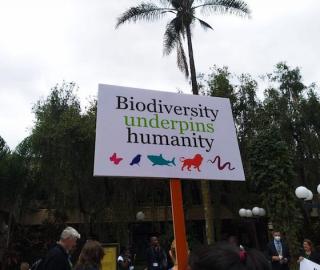 A demonstrator's sign with the words "Biodiversity underpins humanity" 