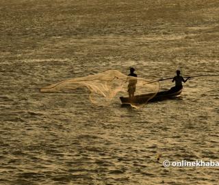 Fishermen use a net to catch fish from a small boat in soft sunlight. 
