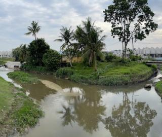 polluted Penang
