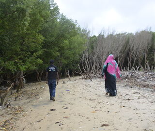 women walking near degraded mangroves