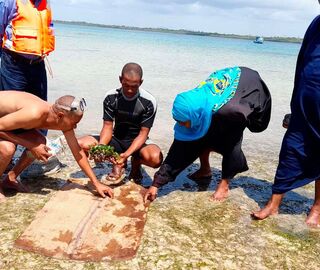 Mohammed Kassim (left)  and other members of Beach Management Unit (BMU) display how they make holes in a hessian bag to place seagrass seedlings planted underwater.