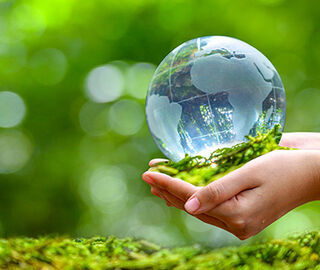 A glass globe being held by a pair of hands among trees.
