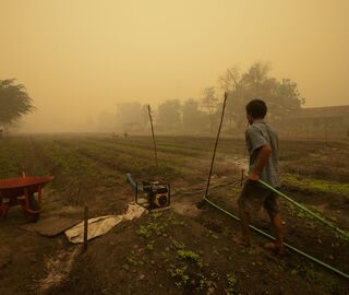 A farmer carries a hose between rows of crops in a field covered in smoke