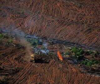aerial view of deforestation and fire in the Amazon