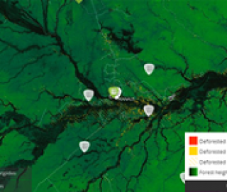 InfoAmazonia Launches: Mapping Environmental Challenges in the Amazon