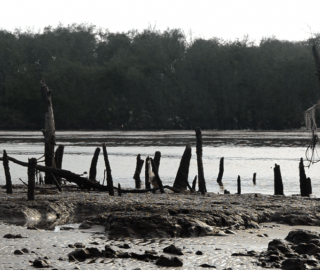 Part 1: Farming jobs eroding away in the Mekong Delta