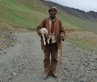 In remote Himalayas, Indian herders are finding new ways around climate change