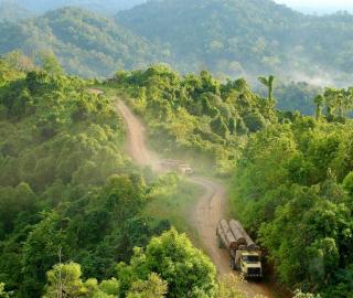 Stop Support to Industrial Logging in Congo Basin, France Told