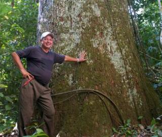 Brazilian State Blazes Path To Sustainability in Amazonia