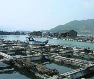 The “Real China Aquaculture Experience&quot; Field Trip