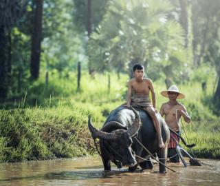 Myanmar road network threatens forests and water supply