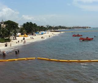 Ecological barriers at Playa del Carmen
