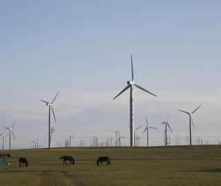 Wind farm inner Mongolia