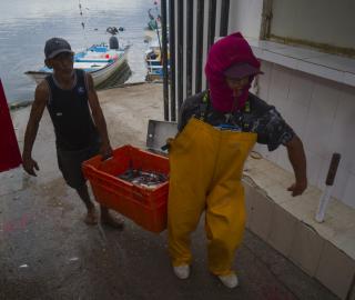 Two men carry a crate of fresh catch into a dock in Mexico.