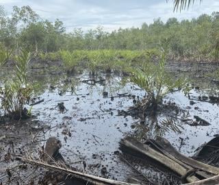 After oil spills in Niger Delta, proper clean up hardly takes place. Photo: Justice Nwafor