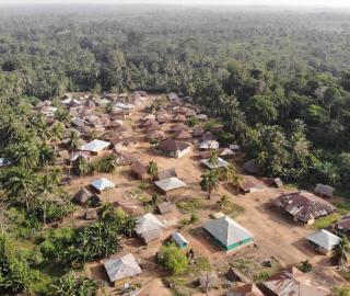 Huile de palme en Afrique : ce que vous devez savoir – La Nouvelle Tribune