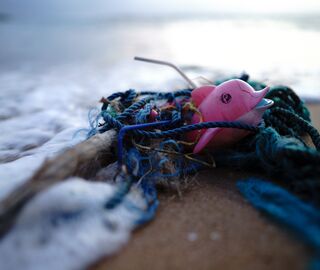 Pink toy stuck into a fish net on a beach 