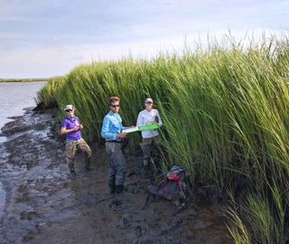 To restore coastal resilience in the aftermath of Hurricane Sandy, scientists have reintroduced freshwater mussels to the Delaware Estuary.