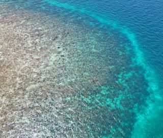 a panoramic view of a reef coral area in Belize