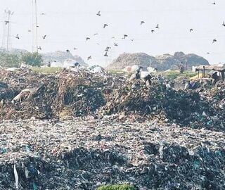 piles of trash with birds overhead