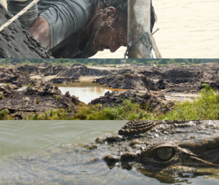 A cropped photo with three panels, one showing a miner, one of the landscape and one of a crocodile eye in the water