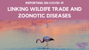 webinar for zoonotic disease webinar